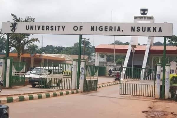 Strike: UNN, UI lecturers shun classes, others hold congress