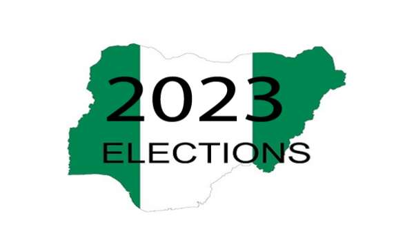 2023: US-based Nigerian nurse declares for president