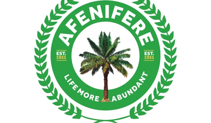 Kaduna airport attack is bid to re-enact Afghanistan here — Afenifere￼