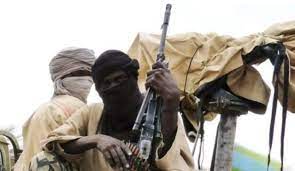 Bandits Abduct Nursing Mothers, Abandon Infants in Niger Community