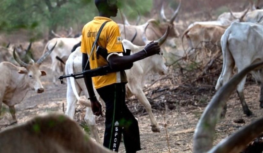 Herdsmen cut off farmer’s hand, steal cashew fruits￼