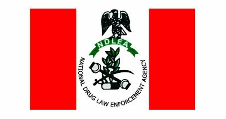 NDLEA Nabs Widow with Fake Pregnancy, Seizes 65,000kg of Drugs Nationwide