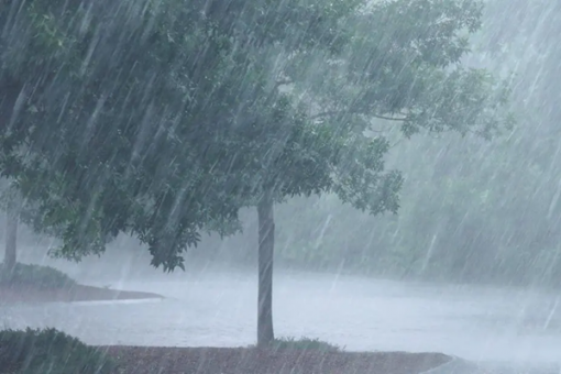 NiMet Predicts Widespread Thunderstorms and Rainfall Across Nigeria from Saturday to Monday