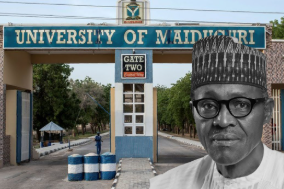 How would you feel if Harvard were renamed to Barack Obama University?- Nigerian Academician reacts to President Tinubu;’s decision to rename UNIMAID after Buhari