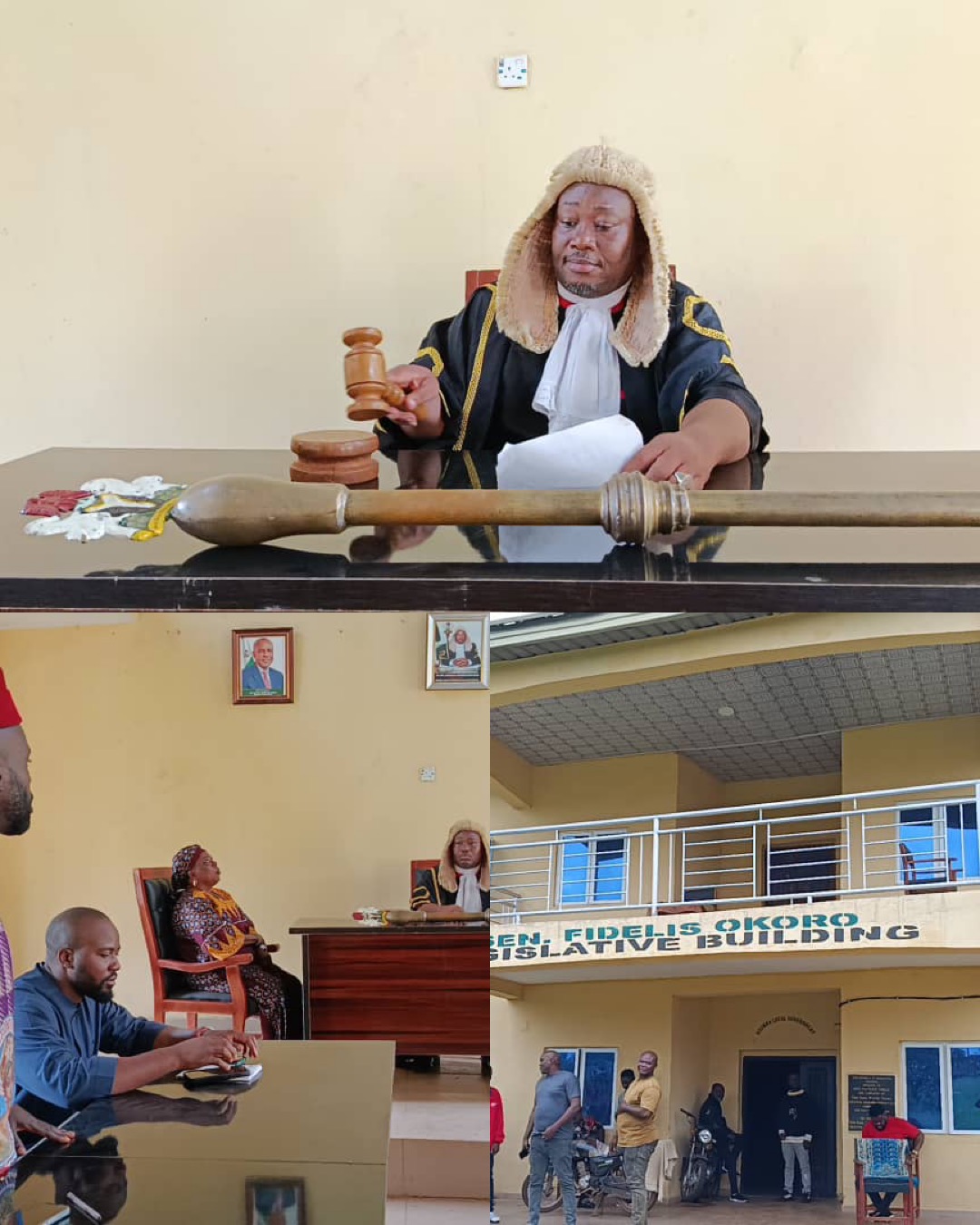Nsukka Legislative Council Suspends 12 Members Over Failed Coup Attempt