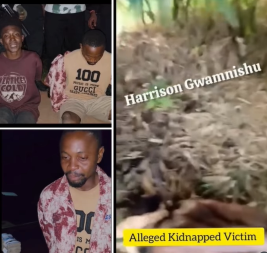 Two arrested for staging kidnap and extorting money from their family in Delta (video)