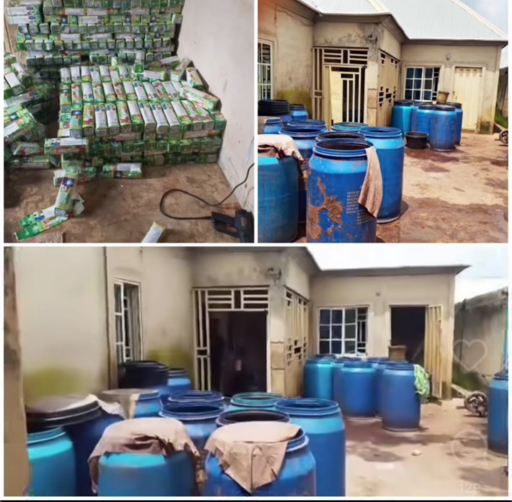 NAFDAC seals illegal Herbal Medicine facility in Kaduna, seizes products worth N5 Million (video)