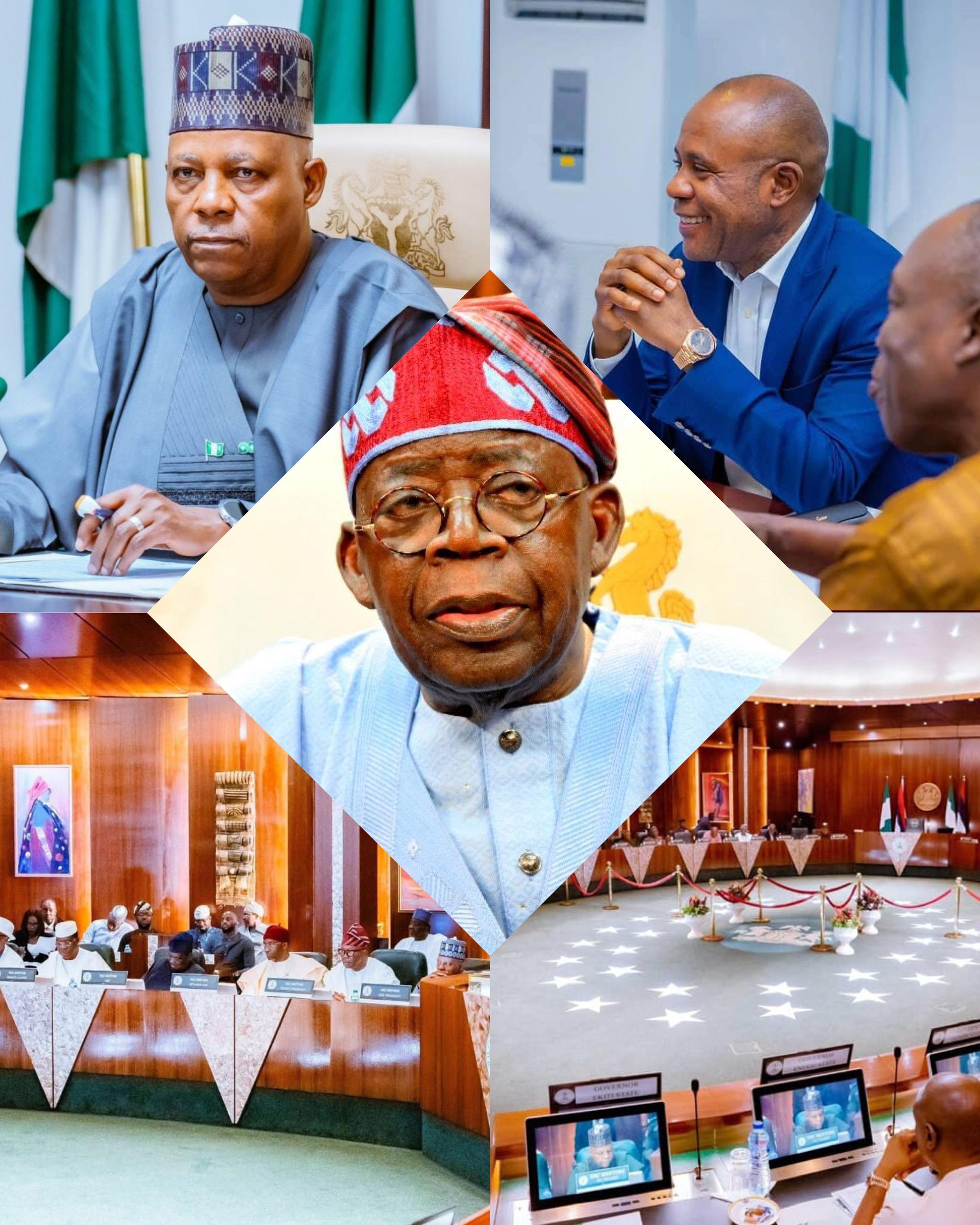 NEC Appoints Enugu’s Mbah to Lead National Committee on Security Training Reforms …Tinubu hails urgency of overhaul as Council entrusts Enugu Governor with national security reform blueprint
