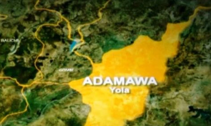 Accidental Blast Claims Life of Hunter During Joint Troop Patrol in Adamawa State