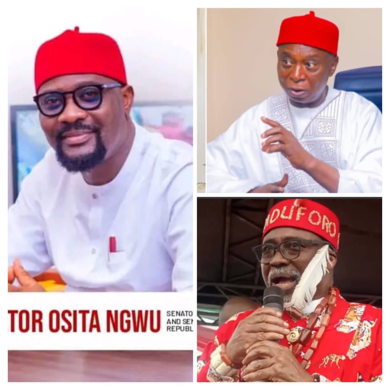 NGWU, ABARIBE & NWOKO AS THE BEST IGBO SENATORS OF THE YEAR.