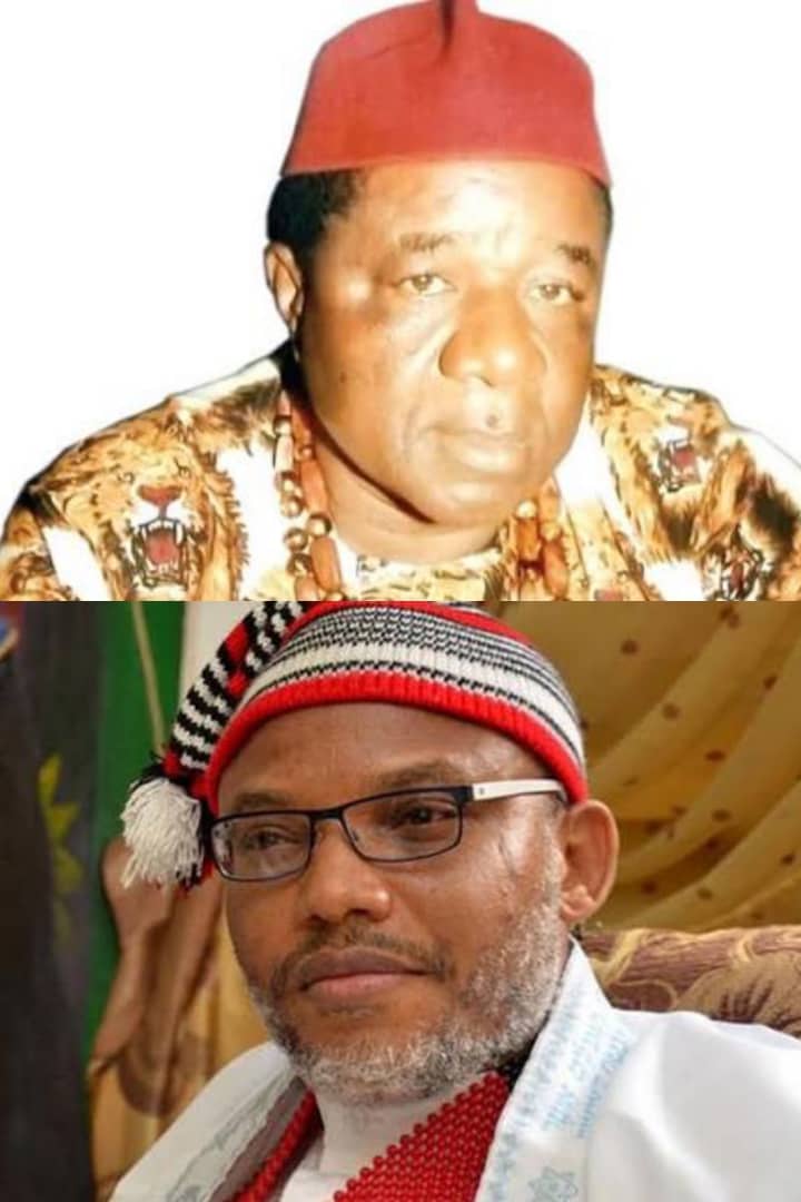 *Former Ohanaeze Secretary Expresses Concern Over IPOB Leader’s Court Tactics*