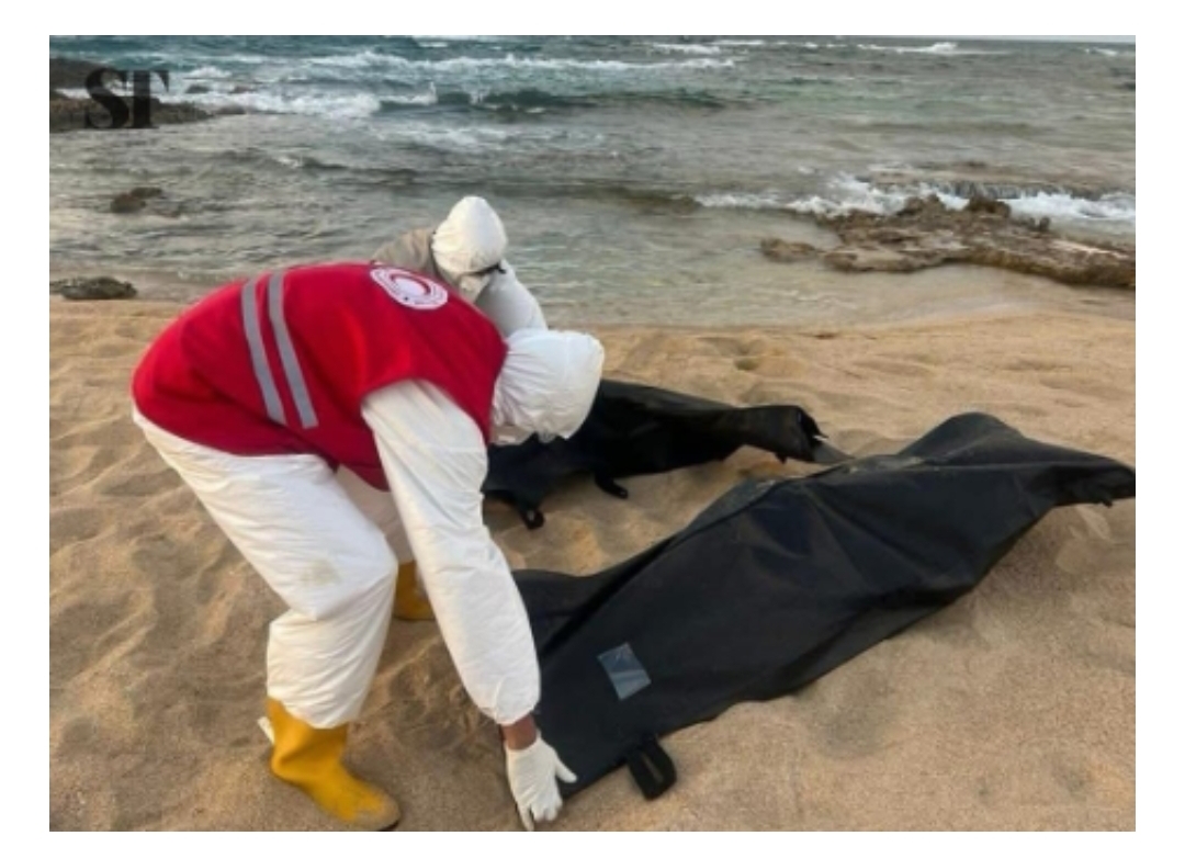 Japa: Two Nigerians dead, 2 rescued in Mediterranean shipwreck — IOM
