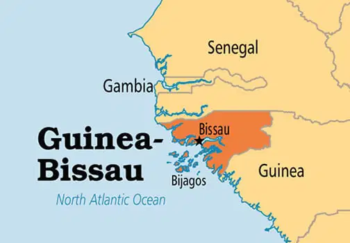 Tinubu Grants Asylum to Threatened Guinea-Bissau Presidential Candidate
