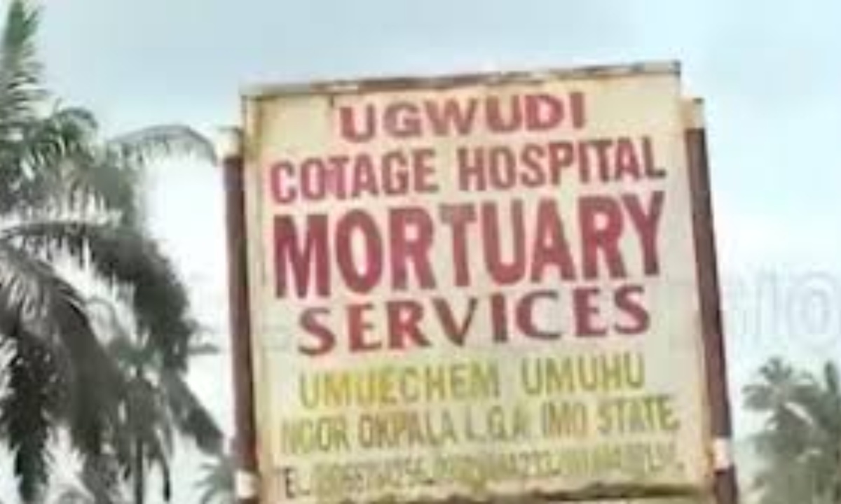 Organ Harvesting Suspected: Police Oversee Destruction of Illegal Imo Mortuary and Structures