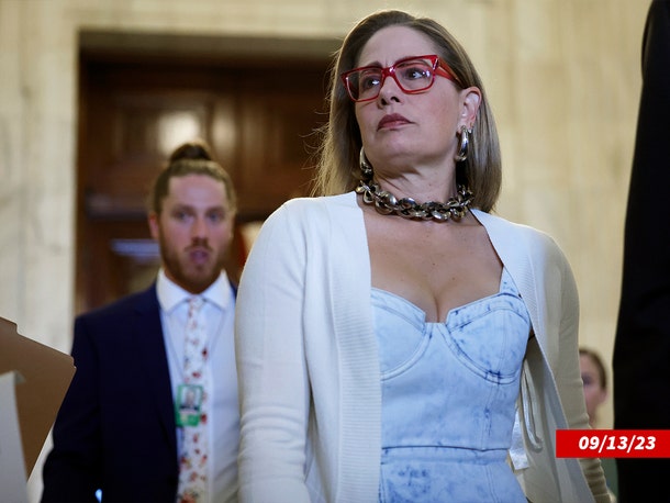 Former US senator Kyrsten Sinema admits to having affair with former bodyguard