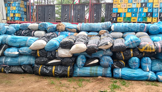 NDLEA Seizes 7.2 Tonnes of Cannabis, Arrests Five in Edo Drug Bust