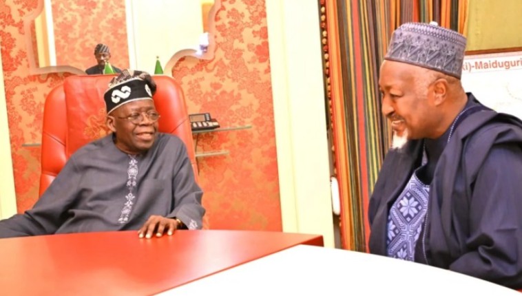 Tinubu Meets Ganduje, Badaru Amidst APC State Tussles