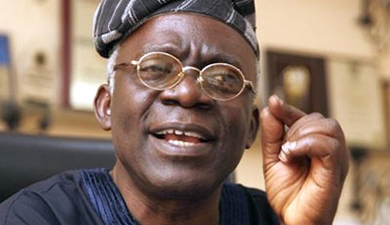 Femi Falana Tells Lagos Residents to Disregard Sanitation Movement Restriction