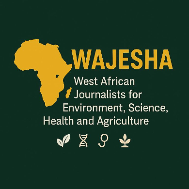 Rising Xenophobic Attacks in South Africa Condemned by West African Journalists