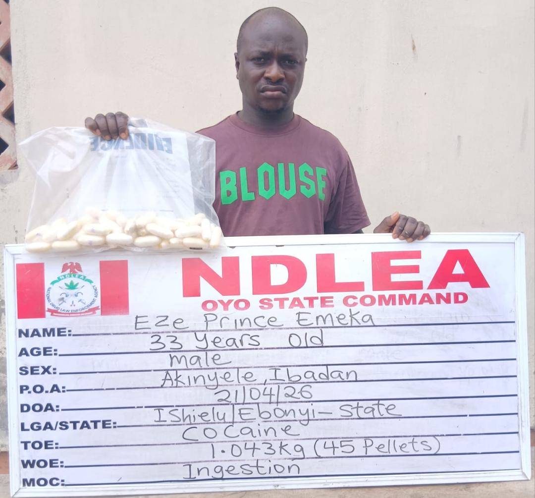 NDLEA intercepts terror drug ‘captagon’ in Kwara as bizman excretes 45 cocaine wraps