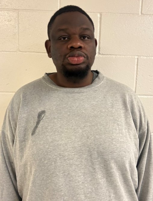 ICE arrests Nigerian man convicted of fraud in US