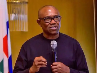 ‘We Can Fix Nigeria’s Electricity Challenge Within Four Years’