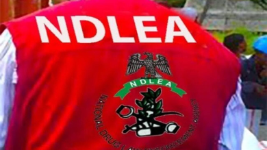 NDLEA Intercepts Drug Shipments Concealed in Water Purifiers Imported From Europe