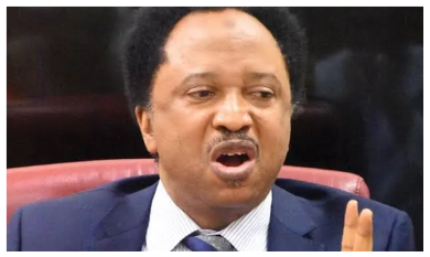 Shehu Sani Criticises Nigerians Over Support for Failed Politicians