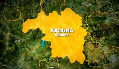 CJTF Arrests Suspected Kidnapper, Seizes Cash and Phone in Kaduna