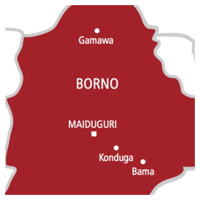 BOSYA President Says Terrorist Rivalry Responsible for Borno Schoolchildren Kidnap