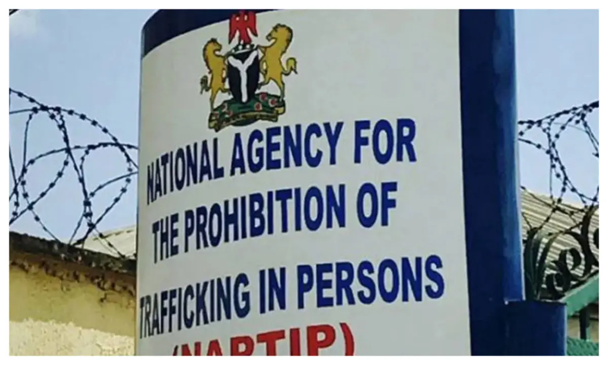 Kano Govt, NAPTIP uncovers child’s adoption chains