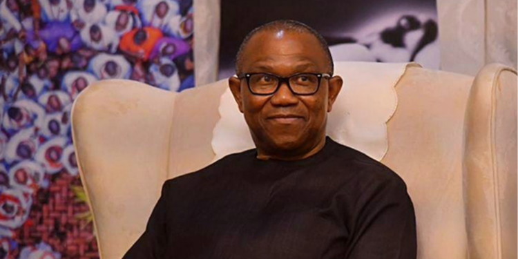Peter Obi leaving ADC pushes Igbo presidency quest 20 years back – Maigari