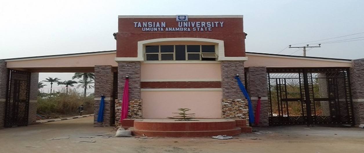 Tansian University Denies Viral Video Allegations of Priest Sexual Misconduct