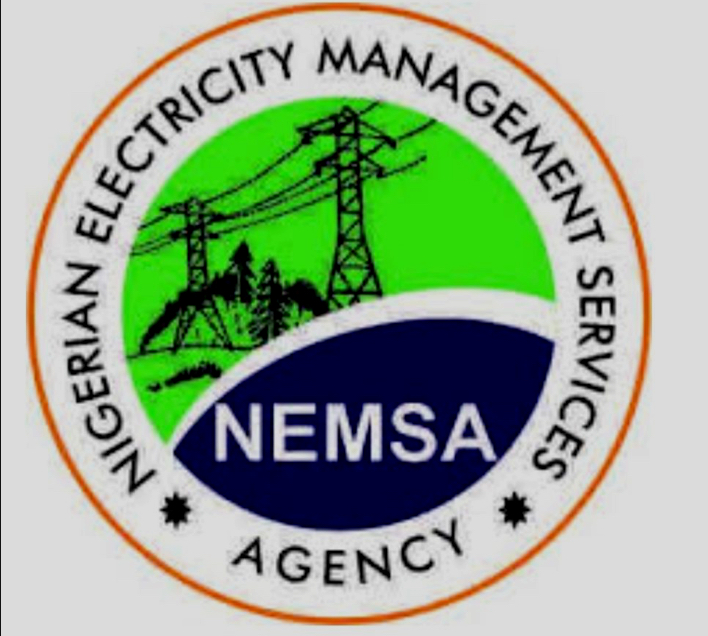 NEMSA Launches Guidelines to Strengthen Renewable Energy Integration