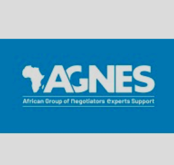 AGNES Hails Jimoh Ibrahim’s Election as UN Committee Chair, Says It Reflects Nigeria’s Global Influence