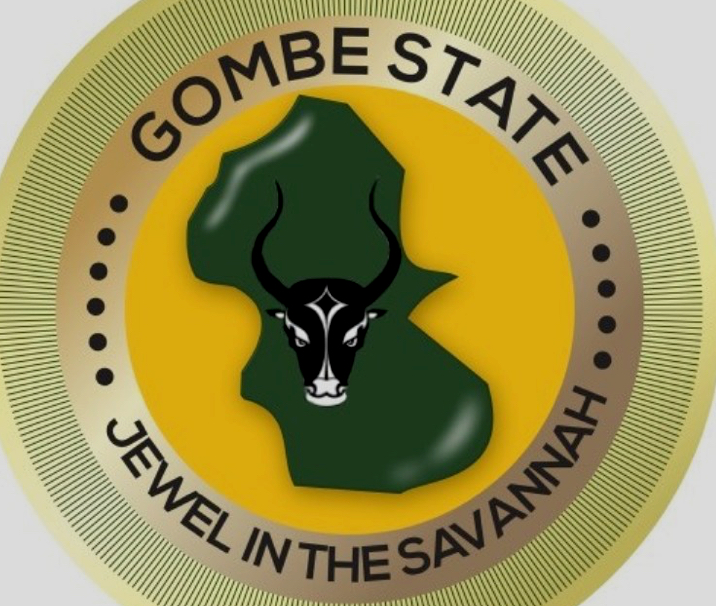 Gombe Ranked Nigeria’s Best State in Public Hospital Services for 2025