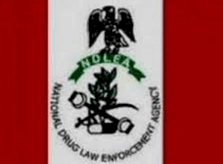 NDLEA Begins Trial of Billionaire Businessman Ukatu, Two Others Over Alleged 322kg Tramadol Trafficking