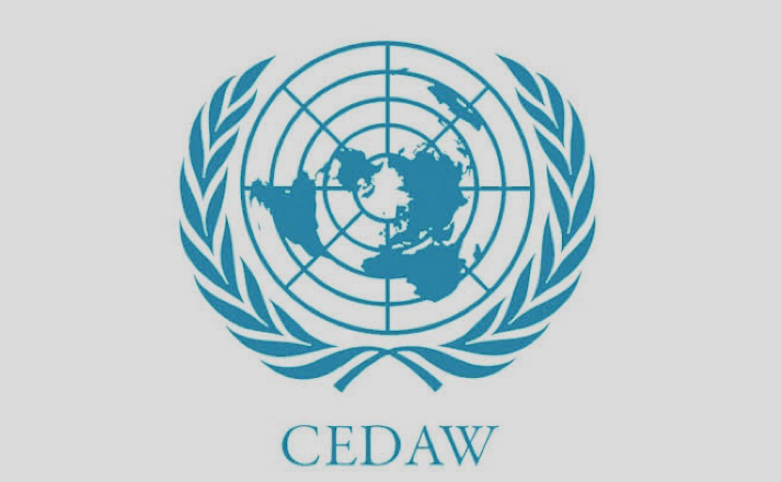 UN Elects Nigeria to Committee on Elimination of Discrimination Against Women