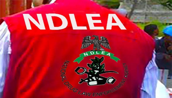 NDLEA dismantles syndicates recruiting women into illicit drug trade