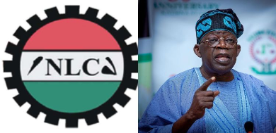 NLC Appeals to Tinubu to Resolve Industrial Unrest at River Basin Authority