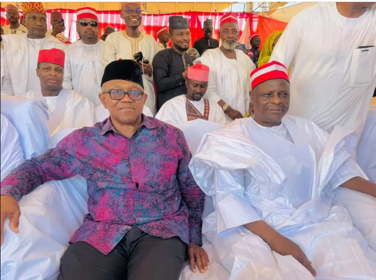 NDC explains why it is exempting Peter Obi and Kwankwaso from anti-defection oath