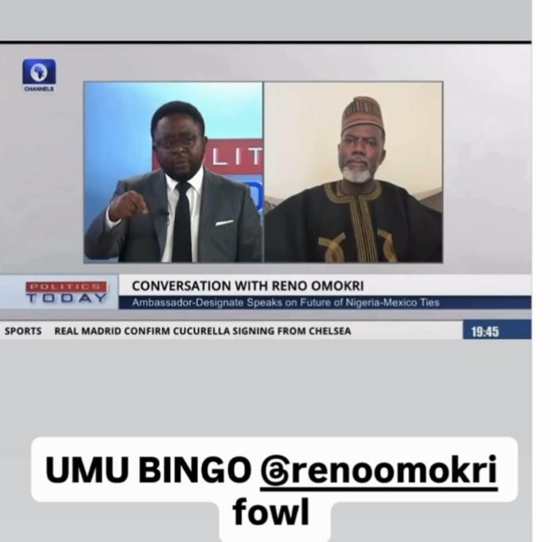 Umu bingo. Fowl! – Davido mocks Reno Omokri over interview explaining his delayed resumption as Nigeria’s Ambassador to Mexico
