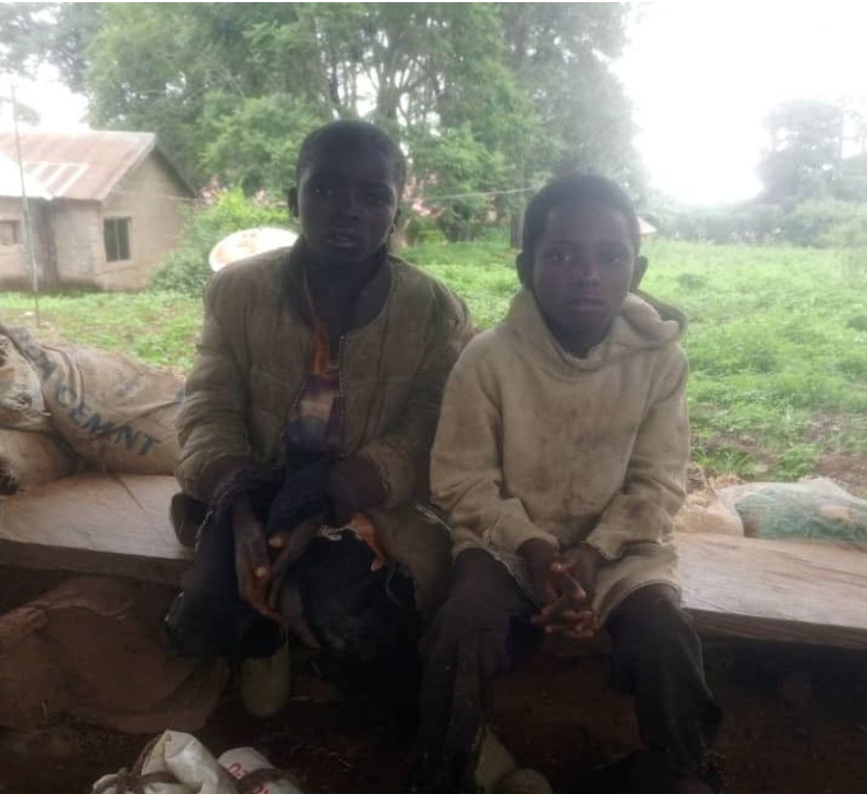 Troops arrest two underage herders over illegal grazing in Plateau