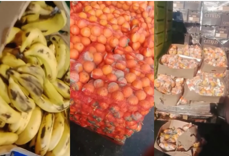 Many of our goods are getting bad as a result of this ‘ foreigner must go’ protests- Businessman residing in South Africa laments