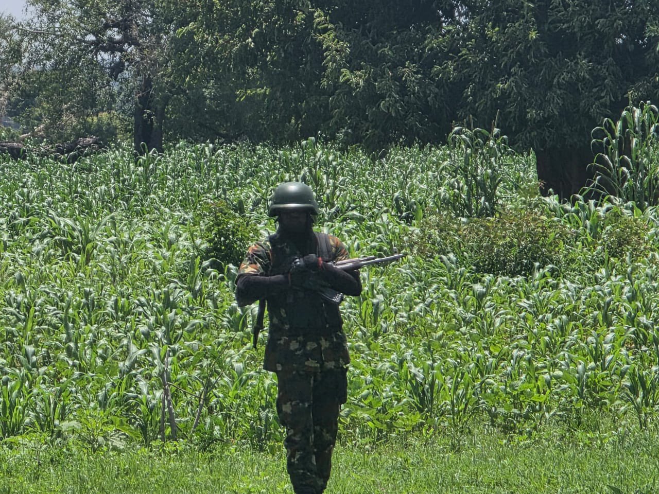 Soldier d!es defending Plateau community as troops repel attack by bandits