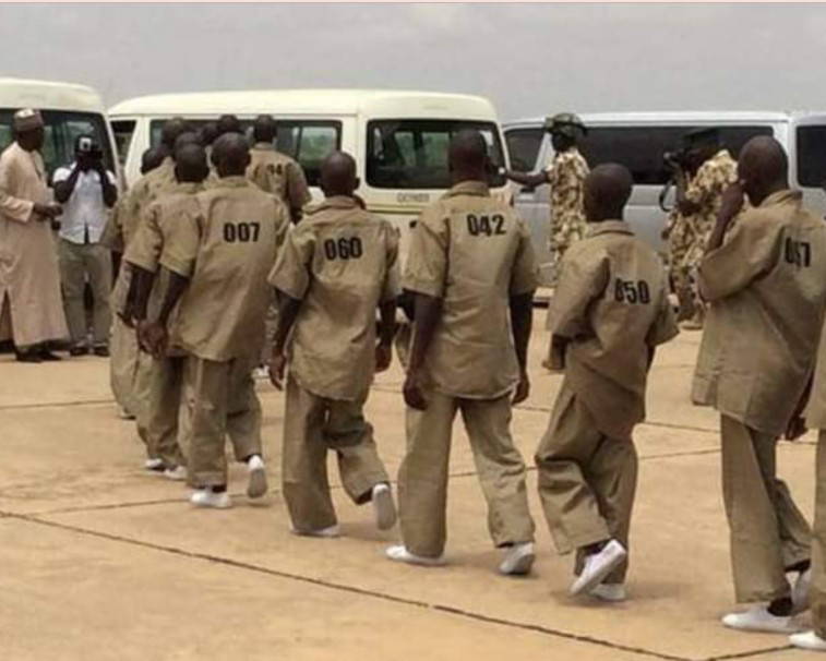 Senate asks FG to stop pardon and rehabilitation of Boko Haram members and other criminals