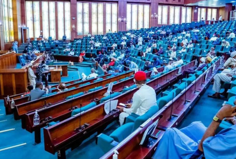 Over 1.6 Million Nigerians Benefit from NELFUND, Reps Reveal