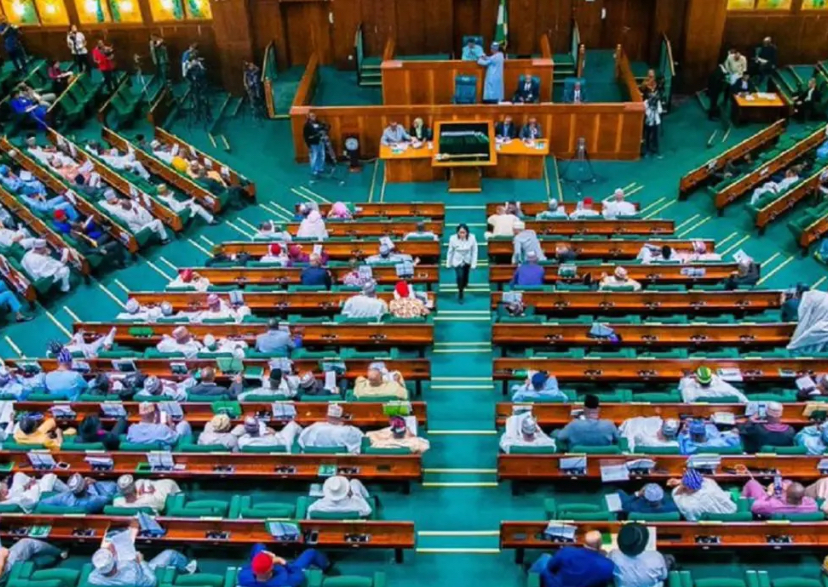 Reps Give IGP 48 Hours to Produce PFIPC DG Over Alleged Fake Government Agency