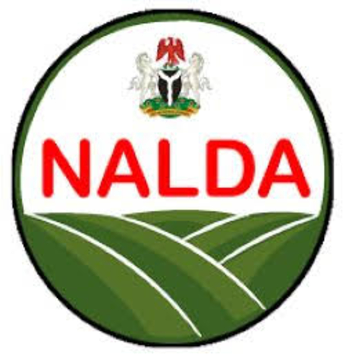From Criminal Hideouts to Productive Assets: NALDA’s Strategy to Revive Forest Reserves